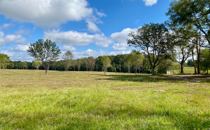 Pictures of Land property located at Carey Byrd Road, Lot 6, Carriere, MS 39426 for sales - image #1