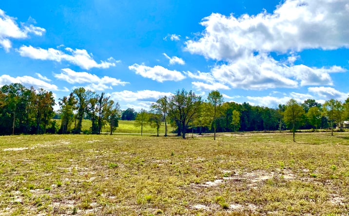 Pictures of Land property located at McNeil-Henleyfield Road, Lot 7, Carriere, MS 39426 for sales - image #1