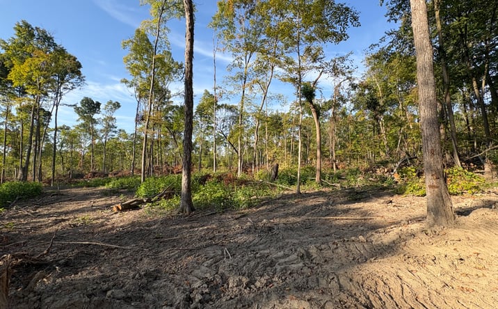Pictures of Land property located at 24.87 +/- Acres Warren County Tract 2, Pine Village, IN 47975 for sales - image #1