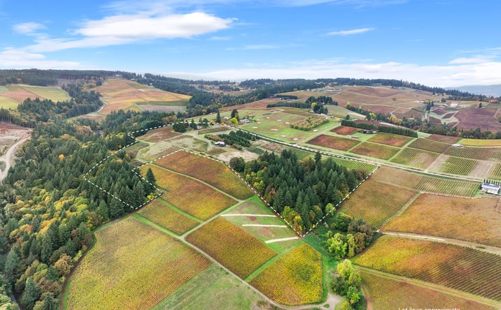 Pictures of Land, Mixed Use property located at 9325 NE WORDEN HILL RD, Dundee, OR 97115 for sales - image #1