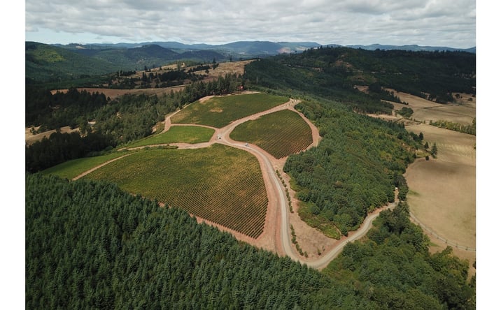 Pictures of Land property located at 17330 SW DUPEE VALLEY RD, Sheridan, OR 97378 for sales - image #1