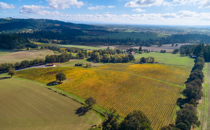 Pictures of Hospitality, Land, Mixed Use property located at 8085 NE OAK SPRINGS FARM RD, Carlton, OR 97111 for sales - image #1