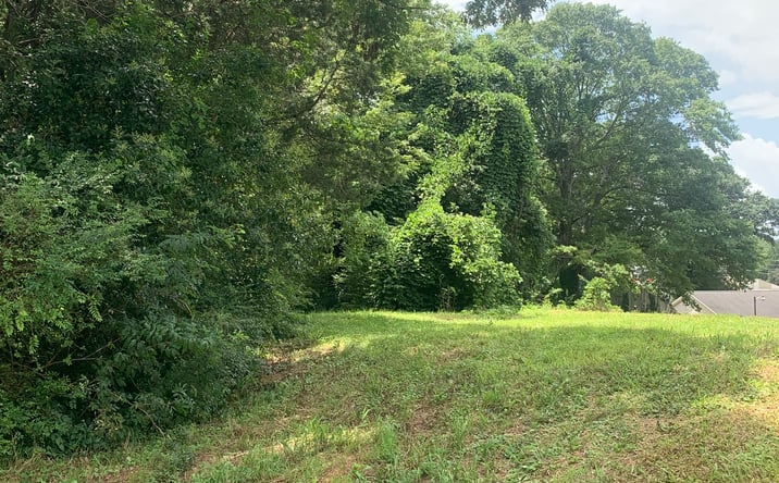 Pictures of Land property located at 121 Hay St, Carrollton, GA 30117 for sales - image #1
