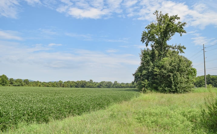 Pictures of Land property located at Wilson Mann Rd and Hwy 431 S, Owens Cross Roads, AL 35763 for sales - image #1