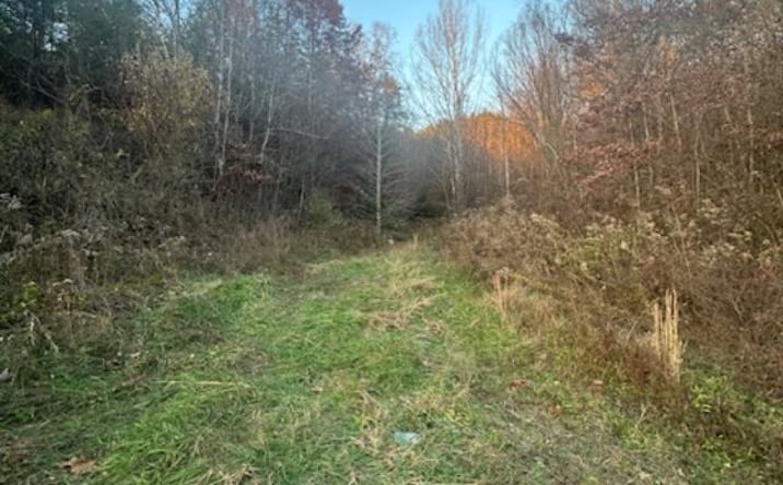Pictures of Land property located at 325 Cane Creek Rd., West Liberty, KY 41472 for sales - image #1