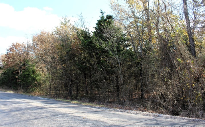 Pictures of Land property located at Red Lake Road, Albany, OK 74726 for sales - image #1