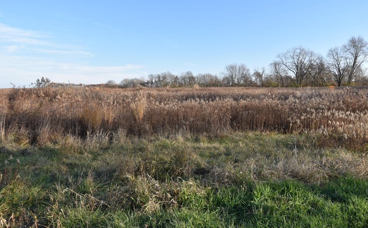 Pictures of Land property located at Rosewood Road NE, Thornville, OH 43076 for sales - image #1