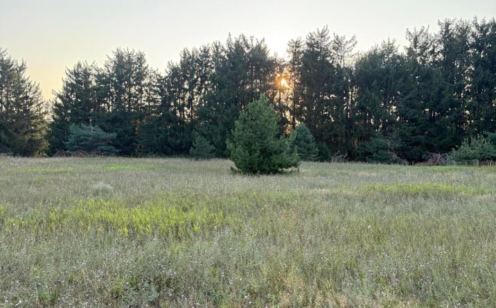 Pictures of Land property located at 518 Classic Dr, Gaylord, MI 49735 for sales - image #1
