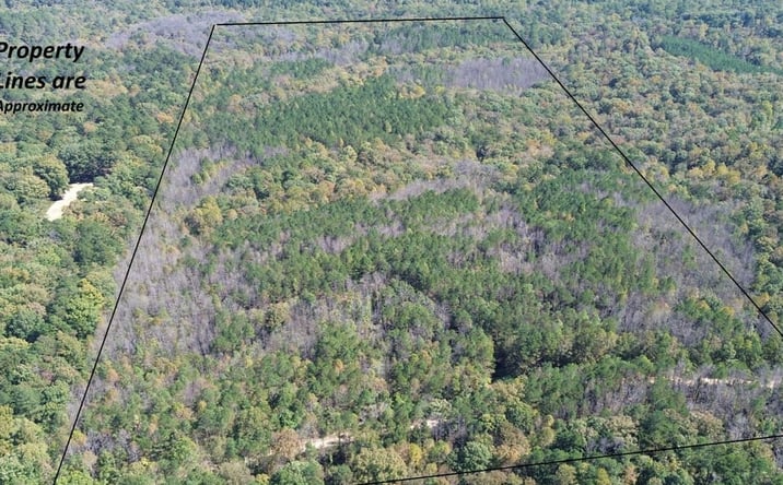 Pictures of Land property located at 000 Beech Creek Road, Moulton, AL 35650 for sales - image #1