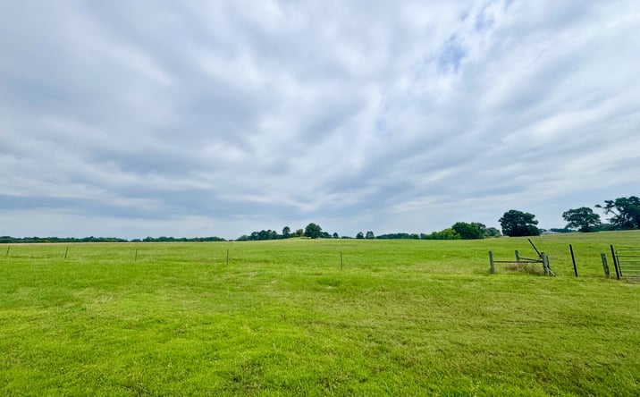 Pictures of Land property located at Lot 62 County Road 2320, Pittsburg, TX 75686 for sales - image #1