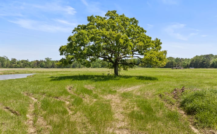 Pictures of Land, Mixed Use property located at Lot A County Road 3324, Pittsburg, TX 75686 for sales - image #1
