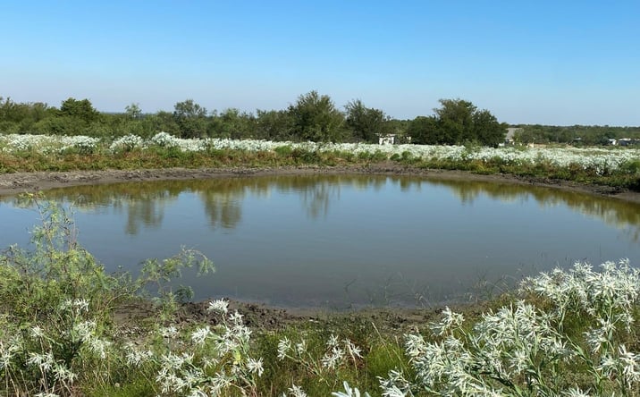 Pictures of Land property located at 6096 Abner Rd, Terrell, TX 75161-8179 for sales - image #1