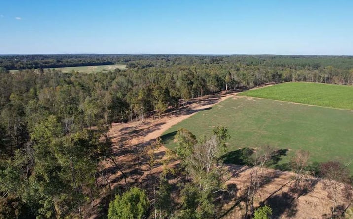 Pictures of Land property located at 9790 AL Hwy 157, Florence, AL 35633 for sales - image #1