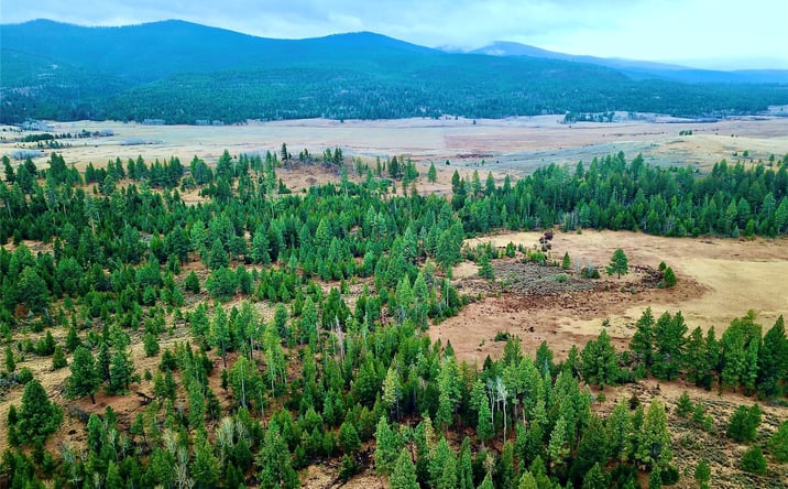 Pictures of Land property located at Strandskov Road, Lincoln, MT 59639 for sales - image #1