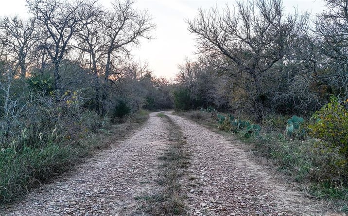 Pictures of Land property located at 137 Shady Oaks Loop, Cedar Creek, TX 78612 for sales - image #1