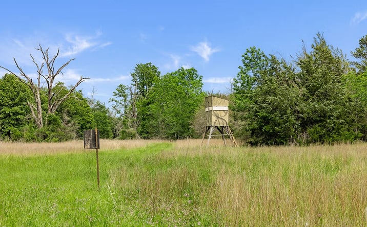 Pictures of Land property located at Double Creek Ranch, Madisonville, TX 77864 for sales - image #1