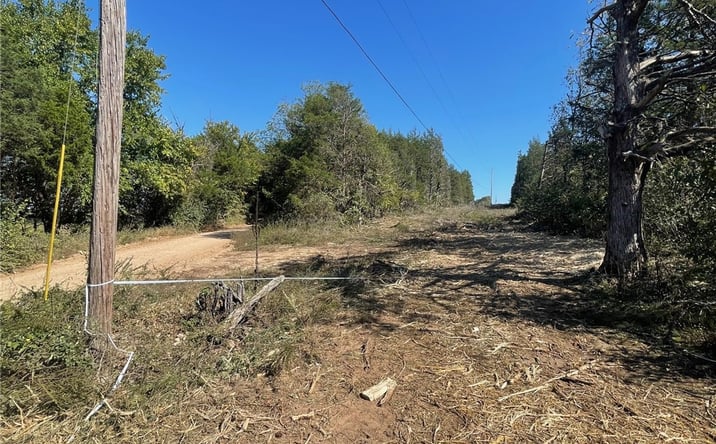 Pictures of Land property located at 427 Co Rd 238, Berryville, AR 72616 for sales - image #1