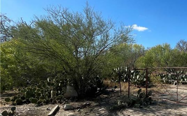 Pictures of Land property located at Co Rd 421, Christine, TX 78012 for sales - image #1