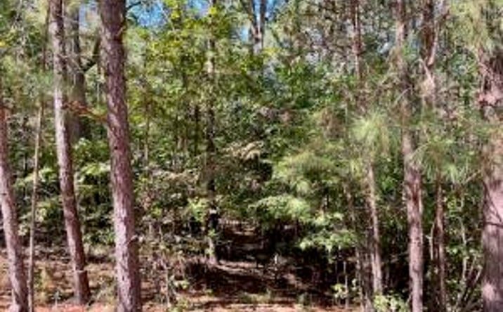 Pictures of Land property located at K-18 Colin Reeds Road, North Augusta, SC 29860 for sales - image #1