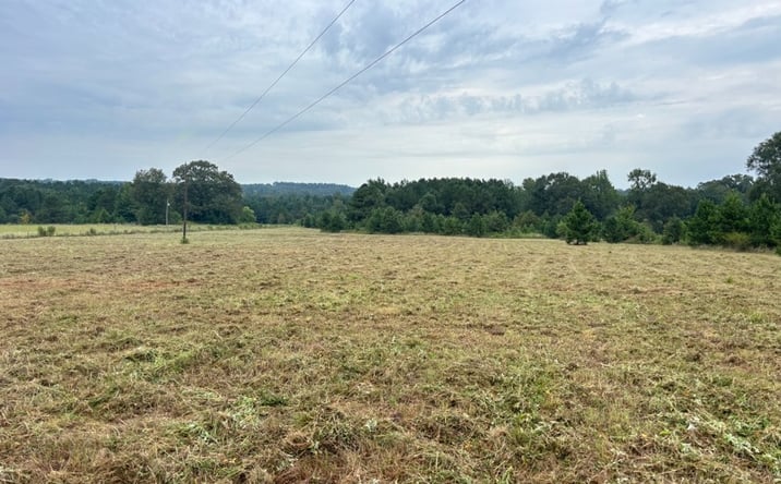 Pictures of Land property located at TBD 12.9 CR 1243, Linden, TX 75563 for sales - image #1