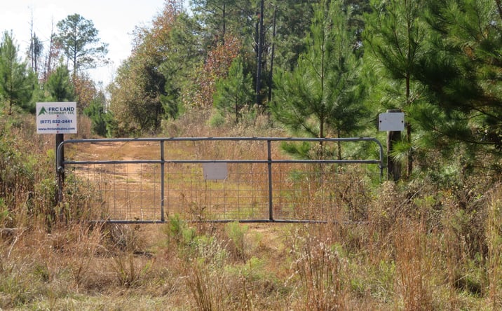 Pictures of Land property located at Law Road, Lumpkin, GA 31815 for sales - image #1