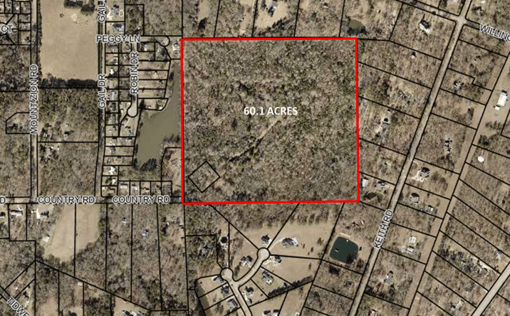 Pictures of Land property located at Country Rd, Bonaire, GA 31005 for sales - image #1