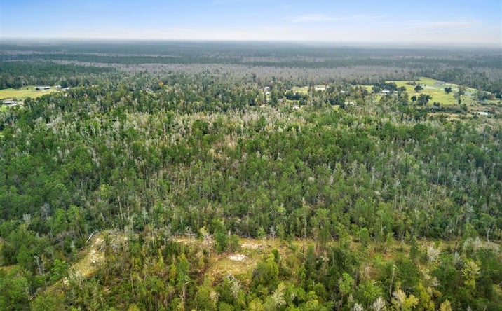 Pictures of Land property located at Woods Road, Vinton, LA 70668 for sales - image #1