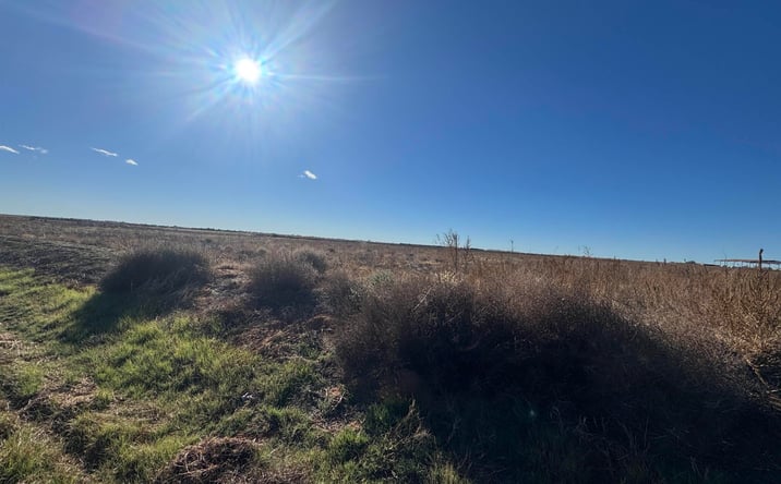 Pictures of Land property located at 3600 Bandolier Road, Clovis, NM 88101 for sales - image #1
