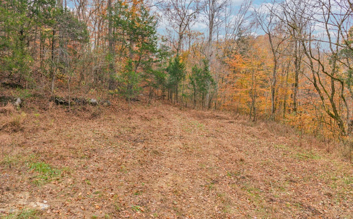 Pictures of Land property located at Ensor Hollow Rd, Buffalo Valley, TN 38548 for sales - image #1