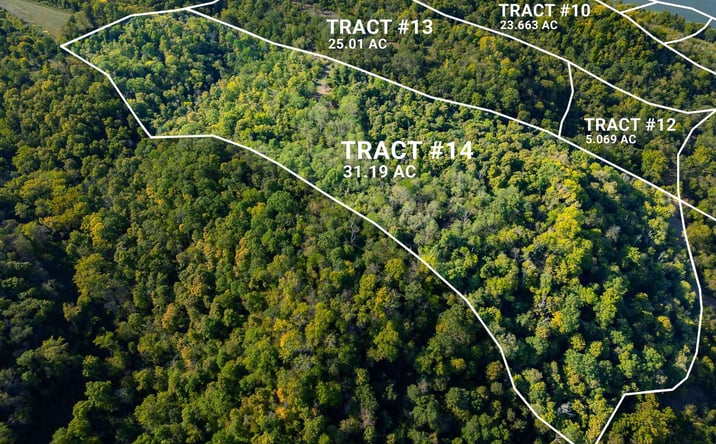Pictures of Land property located at Tract 14 N State Road 156, Patriot, IN 47038 for sales - image #1