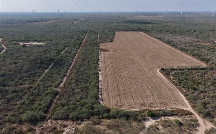 Pictures of Land property located at Pipeline Road, Sullivan City, TX 78582 for sales - image #1