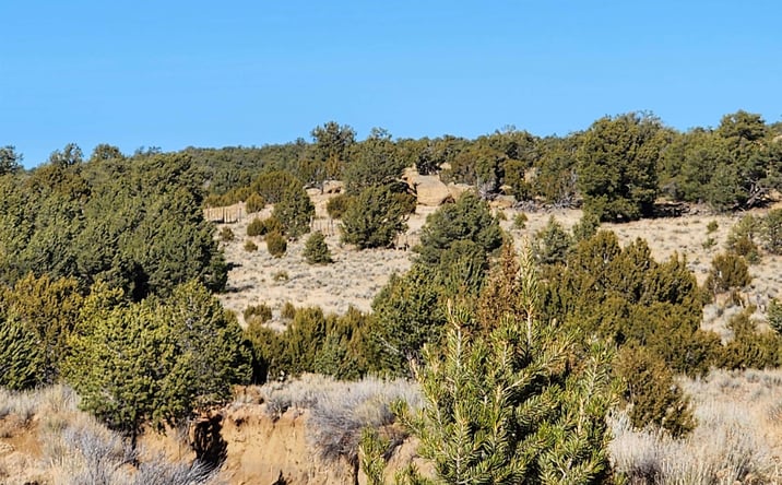 Pictures of Land property located at TBD Ponderosa Ranches Trail Road, Pie Town, NM 87827 for sales - image #1
