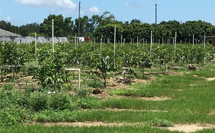 Pictures of Land property located at 15000 SW 256 ST., Homestead, FL 33032 for sales - image #1
