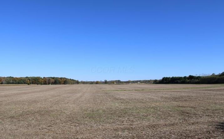 Pictures of Land property located at 0 Panhandle Road, Delaware, OH 43015 for sales - image #1