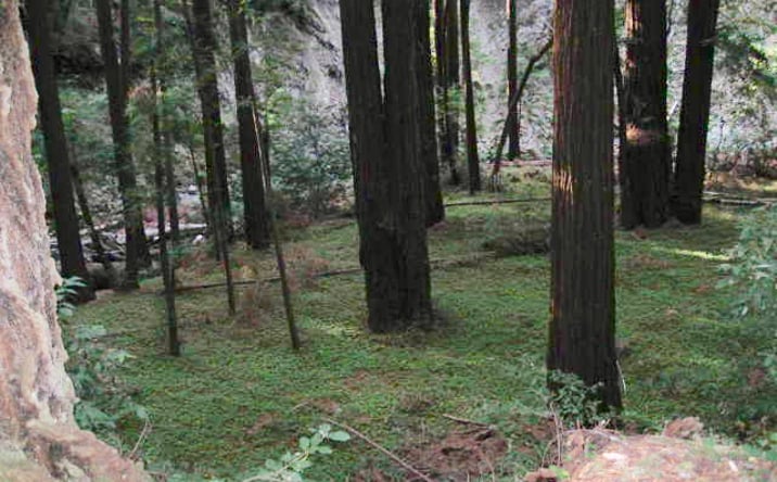 Pictures of Land property located at 0 Slate Creek Road, La Honda, CA 94020 for sales - image #1