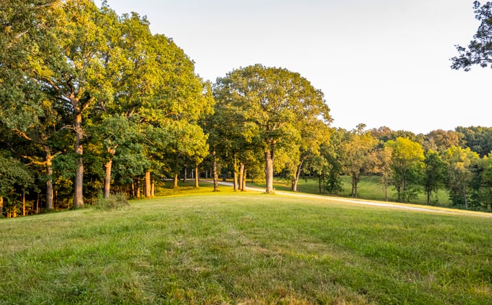 Pictures of Land property located at State Hwy D, Eolia, MO 63344 for sales - image #1