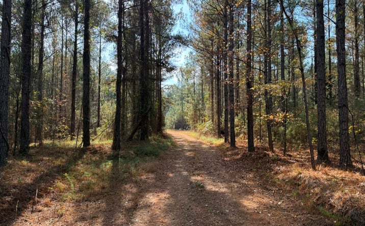 Pictures of Land property located at Youngblood Rd, Sparta, GA 31087 for sales - image #1