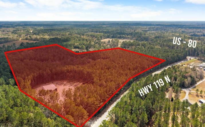 Pictures of Land property located at 276 Hwy 119 N, Ellabell, GA 31308 for sales - image #1