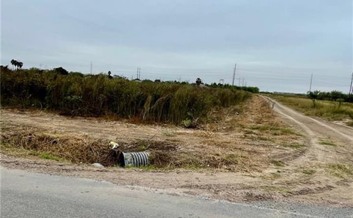 Pictures of Land property located at TBD Gonzalez Road, Progreso, TX 78579 for sales - image #1