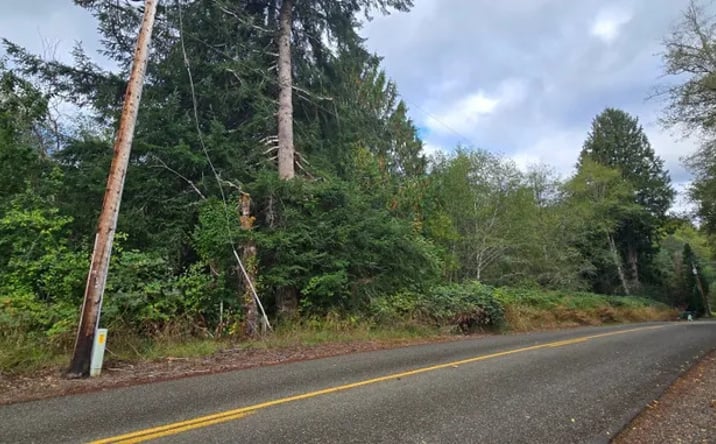 Pictures of Land property located at 1351 Satsop Road W, Montesano, WA 98563 for sales - image #1