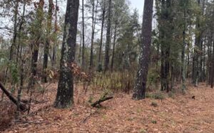 Pictures of Multifamily property located at 000 Gray Street, Edgefield, SC 29824 for sales - image #1