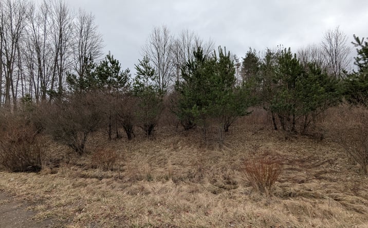 Pictures of Land property located at Lot# 8 - 0 Hutcheson Dr., Mansfield, PA 16933 for sales - image #1