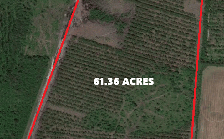 Pictures of Land property located at 4148 Old Dothan Rd, Tabor City, NC 28463 for sales - image #1