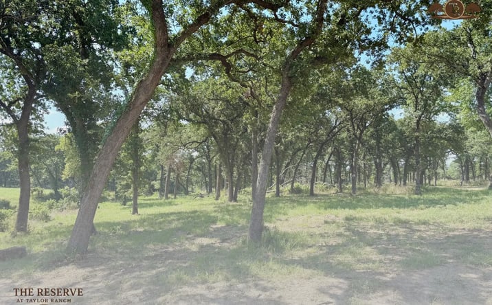 Pictures of Land property located at Lot 64 Camden Ln, Springtown, TX 76082 for sales - image #1