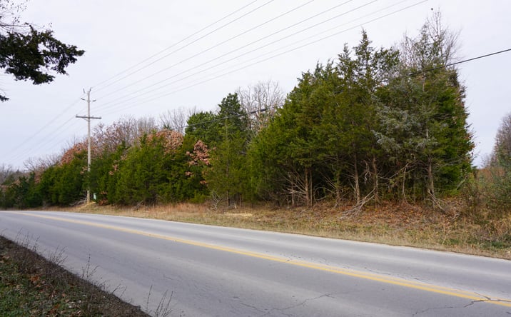Pictures of Land property located at Old St James Rd, Rolla, MO 65401 for sales - image #1