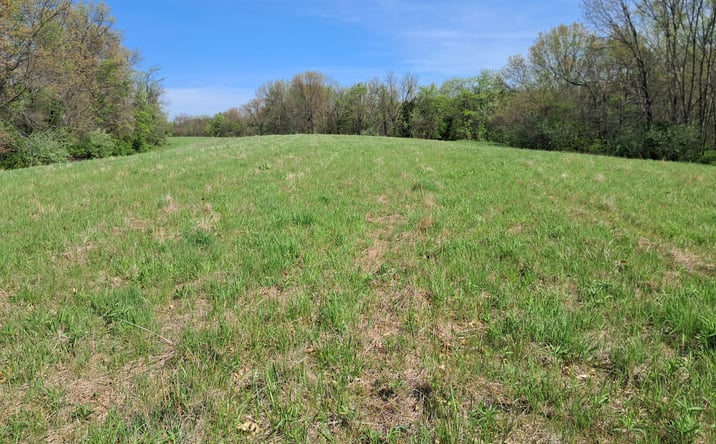 Pictures of Land property located at Blues Highway & Bluff Road, Ft. Madison, IA 52627 for sales - image #1