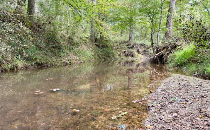 Pictures of Land property located at MS-25, Louisville, MS 39339 for sales - image #1