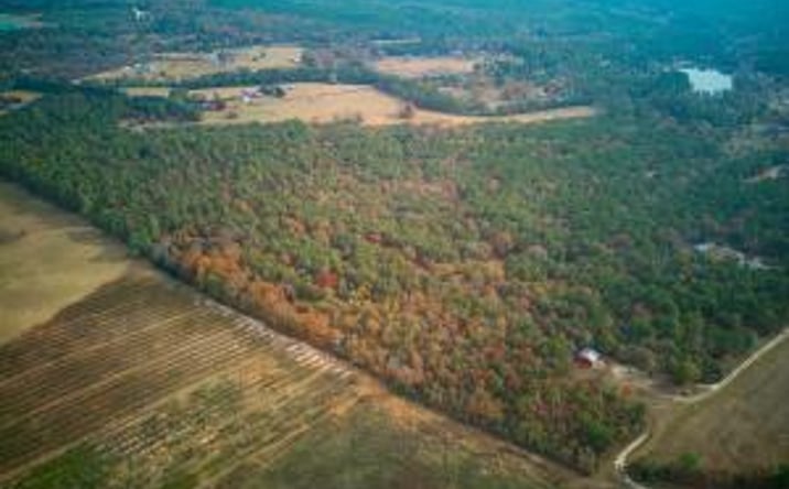 Pictures of Land property located at 0 Windy Ridge Road, Trenton, SC 29847 for sales - image #1