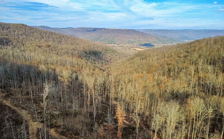 Pictures of Land, Special Purpose property located at 126 Bolton Point Road, South Pittsburg, TN 37380 for sales - image #1