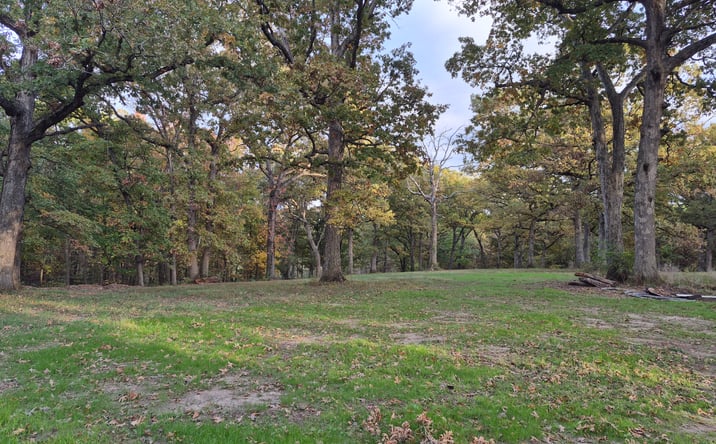 Pictures of Land property located at State Hwy D, Eolia, MO 63344 for sales - image #1